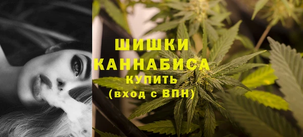 гидропоника Белоозёрский