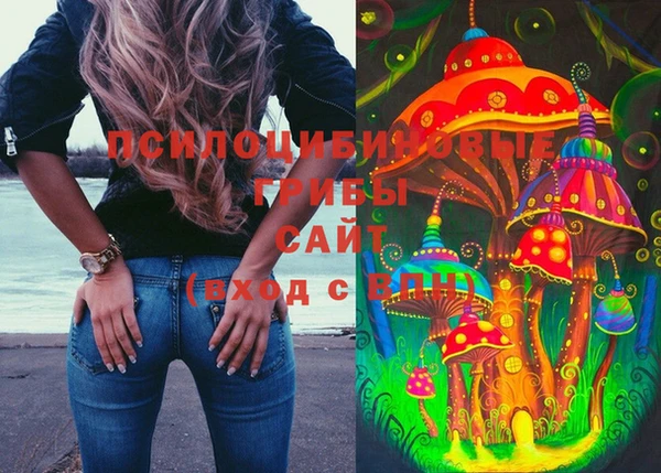 jwh Богородск