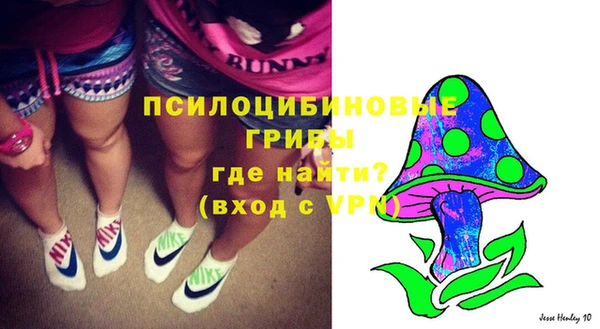 стаф Беломорск