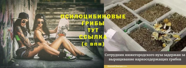 стаф Беломорск