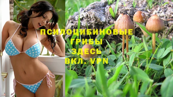 круглые Белокуриха