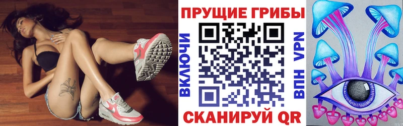 дарнет шоп  Кубинка  Псилоцибиновые грибы Cubensis 
