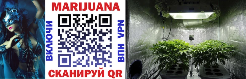 МАРИХУАНА Ganja  Кубинка 